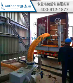 Catalyzer--Sea Bulk Liner Packaging Solution