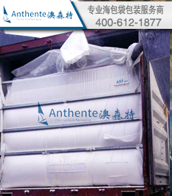 Installation And Loading Guide For PTA Container Liner