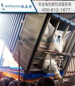 Attended Dubai Gulf Print & Pack Exhibition 2017